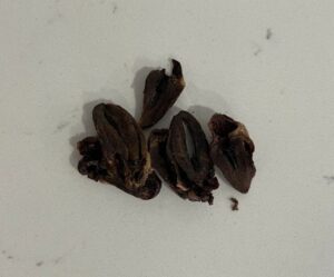 Duck Hearts 60g RPDH25