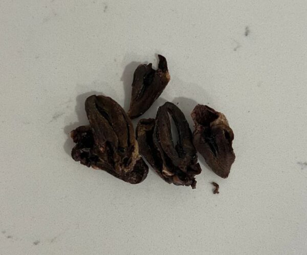 Untitled design - 2026-05-17T172939.516 Duck Hearts 150g RPDH24