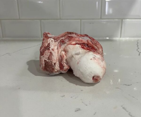 Untitled design - 2026-05-18T144937.977 Beef Knuckles Small RPBKS43