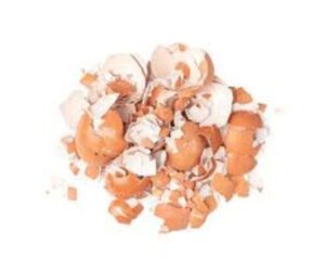 Crushed Egg Shells 100g RPCE551