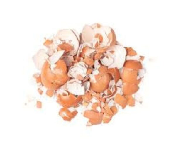 Untitled design - 2026-05-18T154524.447 Crushed Egg Shells 100g RPCE551